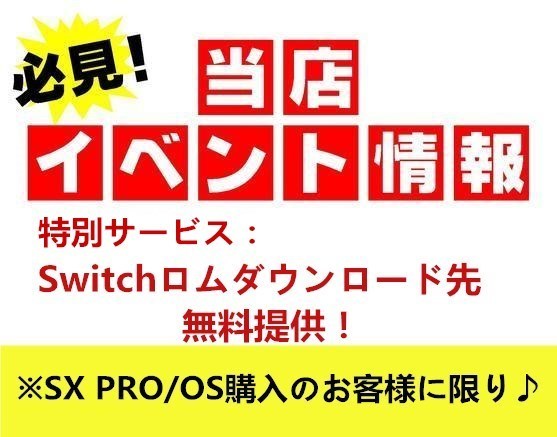 Ndshop特別サービス 無料でnintendo Switchロムダウンロード Sky3ds マジコン